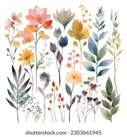 Set of watercolor flowers leaves and twigs on a white background