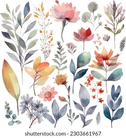 Set of watercolor flowers leaves and twigs on a white background