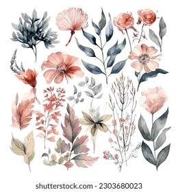 Set of watercolor flowers leaves and twigs on a white background