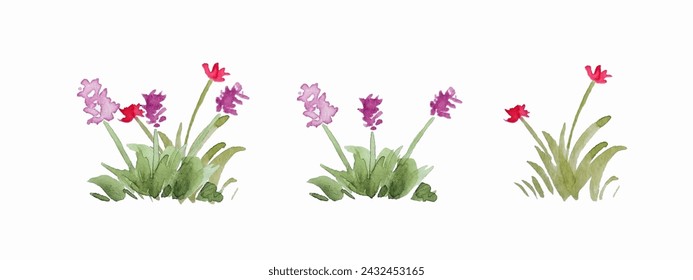 Set of watercolor flowers on white background