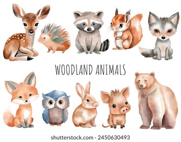 Set of watercolor forest animals. Woodland animals. Bear, fox, boar, deer, squirrel, owl, hare, hedgehog.