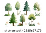 Set of watercolor forest trees, grass and branches. Wild woodland. Watercolor nature elements. Pine, oak, maple