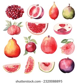 conjunto de frutas acuáticas. Ilustración de manzana verde, manzana amarilla, higo, uva verde, uva negra, uva roja, persimón, granada, pera, nueces.aislados en fondo blanco, trozo, vector
