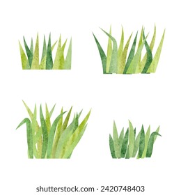 Set of watercolor grass. Simple cartoon green plants vector illustration. Meadow elements