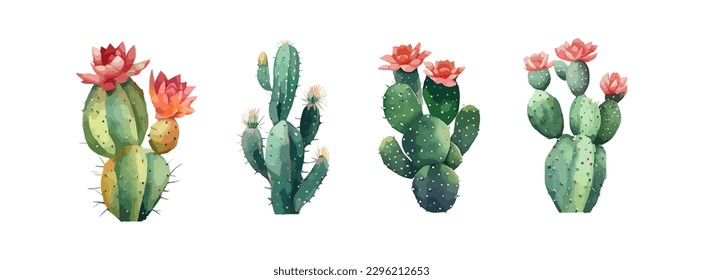 Set of watercolor green cactus isolated on white background. Desert flower, garden plant, tropical summer elements. Vector illustration