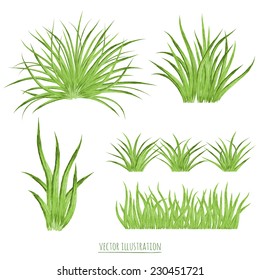 Set watercolor green grass isolated on white background