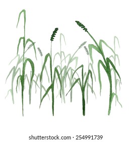 Set watercolor green grass isolated on white background