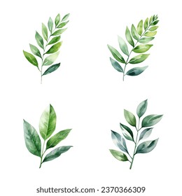 Set of watercolor green leaves branch elements, for Wedding Invitation, save the date, thank you, or greeting card
