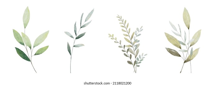 Set of watercolor green leaves elements. Collection botanical vector isolated on white background suitable for Wedding Invitation, save the date, thank you, or greeting card. - Shutterstock ID 2118021200