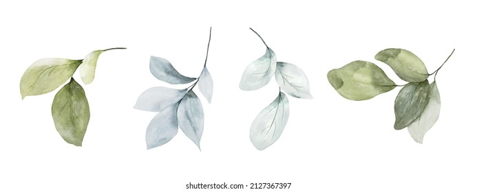 Set watercolor green leaves elements  Collection botanical vector isolated white background suitable for Wedding Invitation  save the date  thank you  greeting card 
