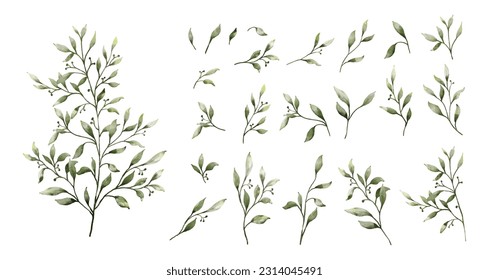 Set of watercolor green leaves elements. Collection botanical vector isolated on white background suitable for Wedding Invitation, save the date, thank you, or greeting card.