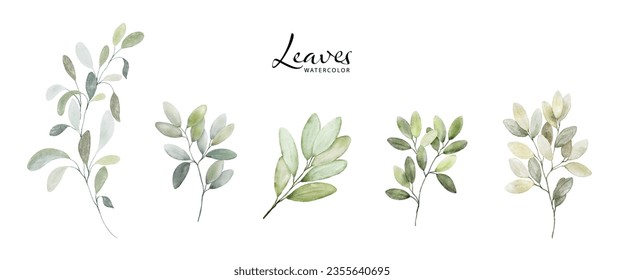 Set of watercolor green leaves elements. Collection botanical vector isolated on white background suitable for Wedding Invitation, save the date, thank you, or greeting card.