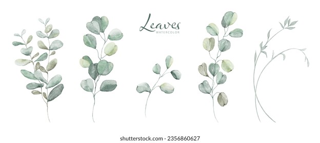 Set of watercolor green leaves elements. Collection botanical vector isolated on white background suitable for Wedding Invitation, save the date, thank you, or greeting card.