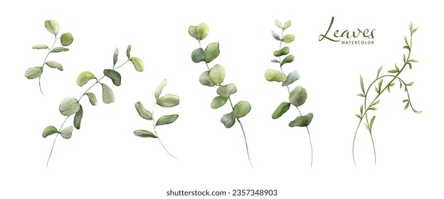 Set of watercolor green leaves elements. Collection botanical vector isolated on white background suitable for Wedding Invitation, save the date, thank you, or greeting card.