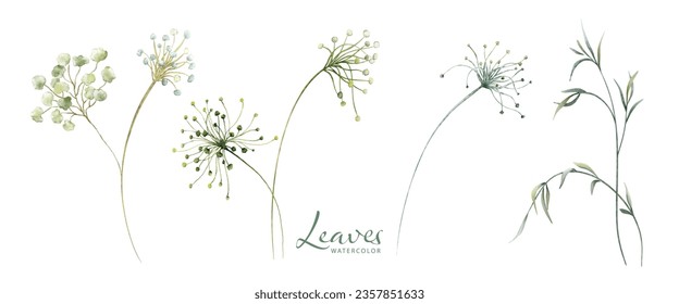 Set of watercolor green leaves elements. Collection botanical vector isolated on white background suitable for Wedding Invitation, save the date, thank you, or greeting card.