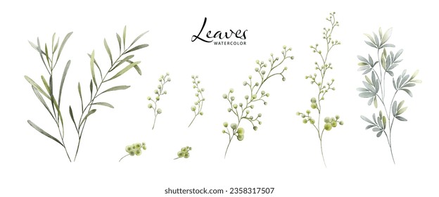 Set of watercolor green leaves elements. Collection botanical vector isolated on white background suitable for Wedding Invitation, save the date, thank you, or greeting card.