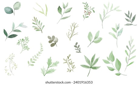 Set of watercolor green leaves elements. Collection botanical vector isolated on white background suitable for Wedding Invitation, save the date, thank you, or greeting card.