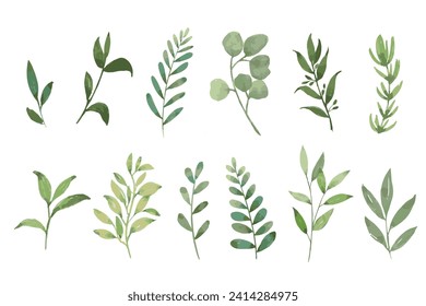 Set of watercolor green leaves elements. Collection botanical vector isolated on white background suitable for Wedding Invitation, save the date, thank you, or greeting card.