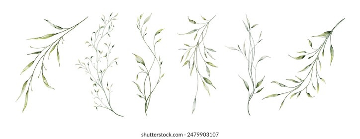 Set of watercolor green leaves elements. Collection botanical vector isolated on white background suitable for Wedding Invitation, save the date, thank you, or greeting card.