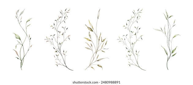 Set of watercolor green leaves elements. Collection botanical vector isolated on white background suitable for Wedding Invitation, save the date, thank you, or greeting card.