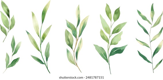 Set of watercolor green leaves elements. Collection botanical vector isolated on white background suitable for Wedding Invitation, save the date, thank you, or greeting card.	
