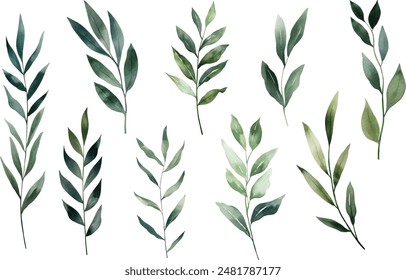 Set of watercolor green leaves elements. Collection botanical vector isolated on white background suitable for Wedding Invitation, save the date, thank you, or greeting card.	
