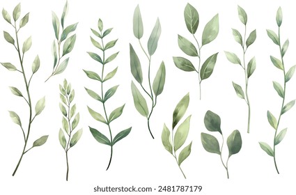 Set of watercolor green leaves elements. Collection botanical vector isolated on white background suitable for Wedding Invitation, save the date, thank you, or greeting card.	
