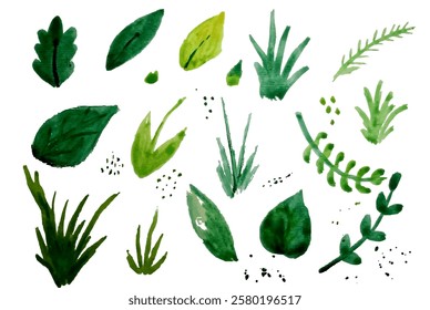 set of watercolor green leaves, grass and stems of different sizes isolate on a white background