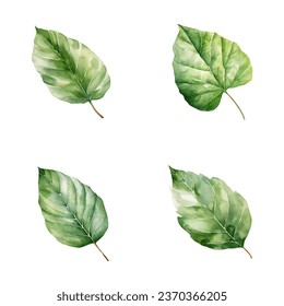 Set of watercolor green leaves isolated on white background