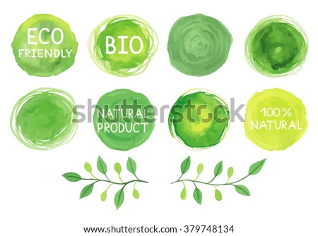 Similar – Image, Stock Photo Watercolor green letter I with dried leaves and tropical flowers bouquet, Boho illustration