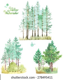 A set of watercolor green pine trees. Vector illustration.