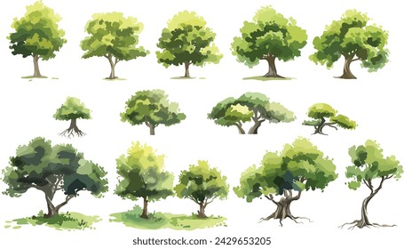 Set of watercolor green tree isolated on white background for landscape and architecture drawing, elements for environment and garden, botanical for section in spring. Watercolor trees collection