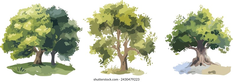 Set of watercolor green tree isolated on white background for landscape and architecture drawing, elements for environment and garden, botanical for section in spring