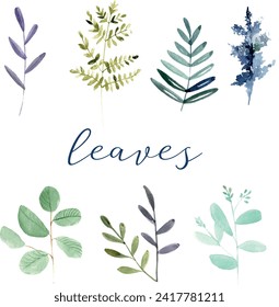 Set of watercolor of greenery leaf illustration. Elements of decorative leaves plant forest and. Collection of twigs, herbs, leaf compositions, wreath, tropical. Invitation card. Vector design.