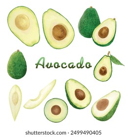 Set with watercolor hand drawn avocado. Real watercolor painting