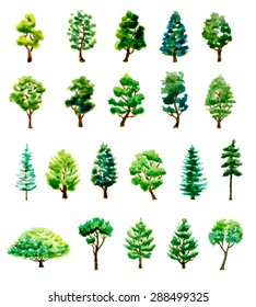 set of watercolor hand drawn different trees. vector illustration