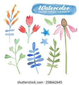 Set of watercolor hand drawn floral elements, isolated vector flowers, herbs and leaves