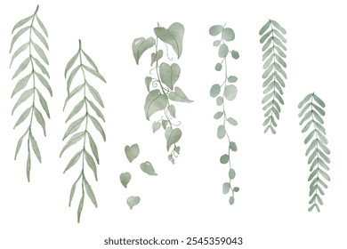 Conjunto de Plantas Deslocadas Aquarela Plano de Fundo. Conjunto de coleção de folhas de trepadeira tropical verde pendurando vine ivy houseplant arbusto mão desenhado aquarela design recursos elementos