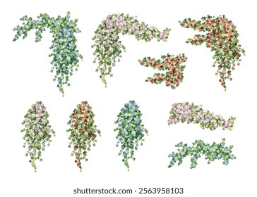 Conjunto de vides colgantes de acuarela con flores. Elementos de Vector de plantas de hiedra colgantes de enredadera floral de acuarela, decoración adecuada para el fondo, jardines de Vertical o obras de arte decorativas.