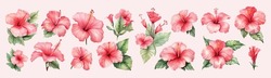 Set Of Watercolor Hibiscus Flower Illustration Vector. A Captivating Collection Of Watercolor Hibiscus Flower Illustrations In Vector Format