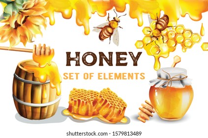 Set of watercolor honey elements. Wooden dipper, barrel, comb, jar, sunflower decoration. Banner style vector