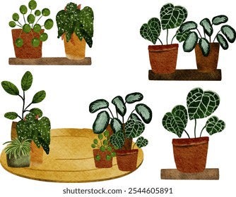 Set of Watercolor House Plant, potted plant, indoor plants, flower pot