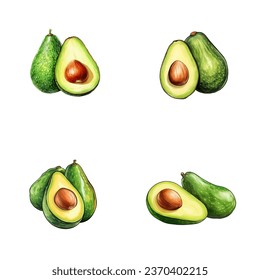 set of watercolor illustration of avocado fruit isolated on a white background