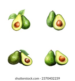 set of watercolor illustration of avocado fruit isolated on a white background