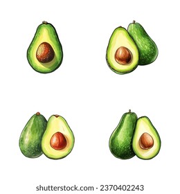 set of watercolor illustration of avocado fruit isolated on a white background