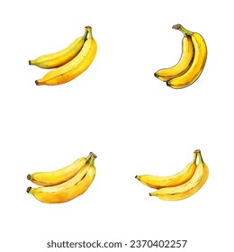 set of watercolor illustration of banana fruit isolated on a white background