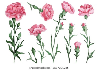  Flowers set watercolor illustration on white background.
