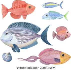 Set of watercolor illustrations with fish. Collection of tropical fish painted in watercolor.