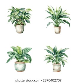 set of watercolor illustrations of house plants in pots