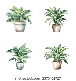 set of watercolor illustrations of house plants in pots